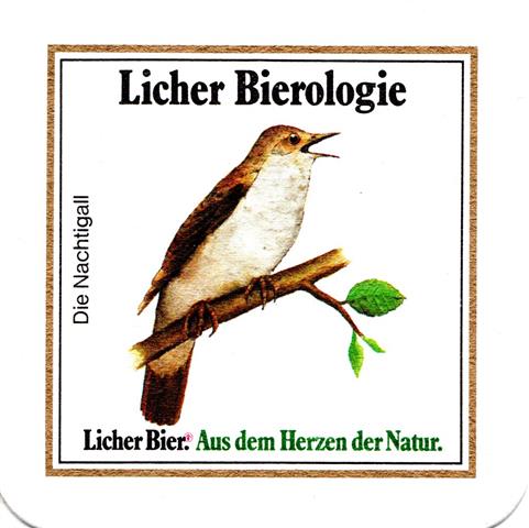 lich gi-he licher biero vgel rd 6b (quad185-der stieglitz)